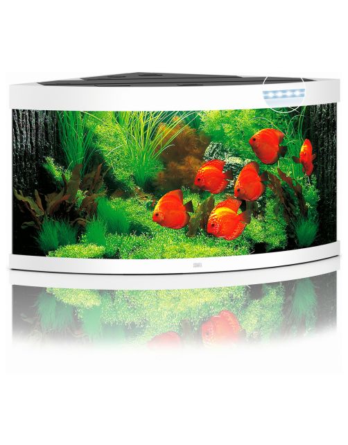 Juwel Aquarium Trigon 350 Led 123x87x65 cm - Aquaria