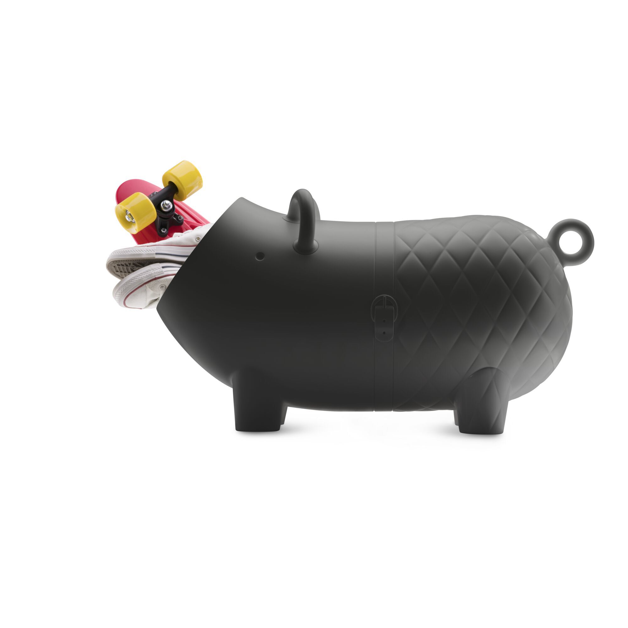 Hausschwein Black