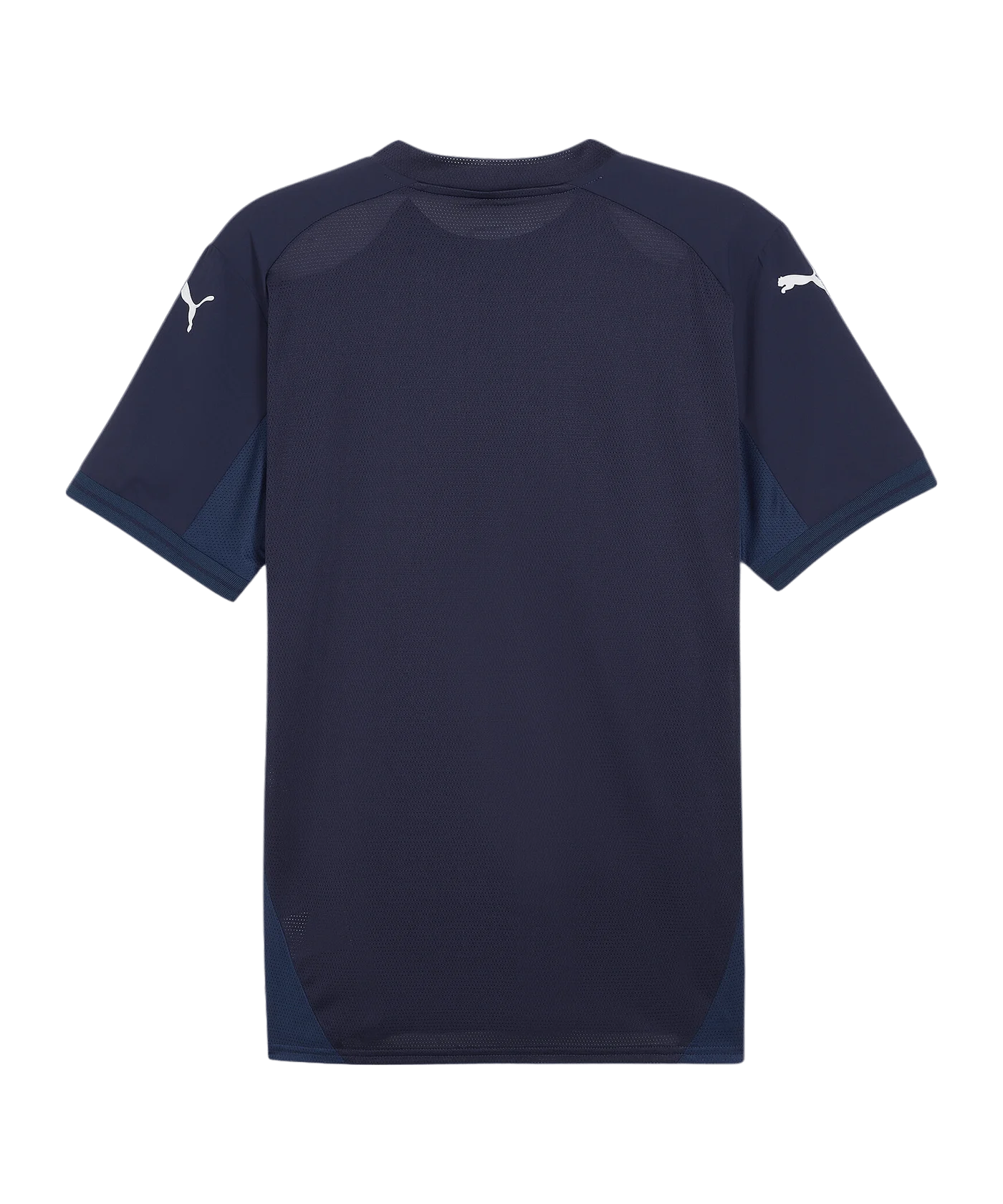 PUMA teamFINAL Trikot Blau Weiss Blau F06