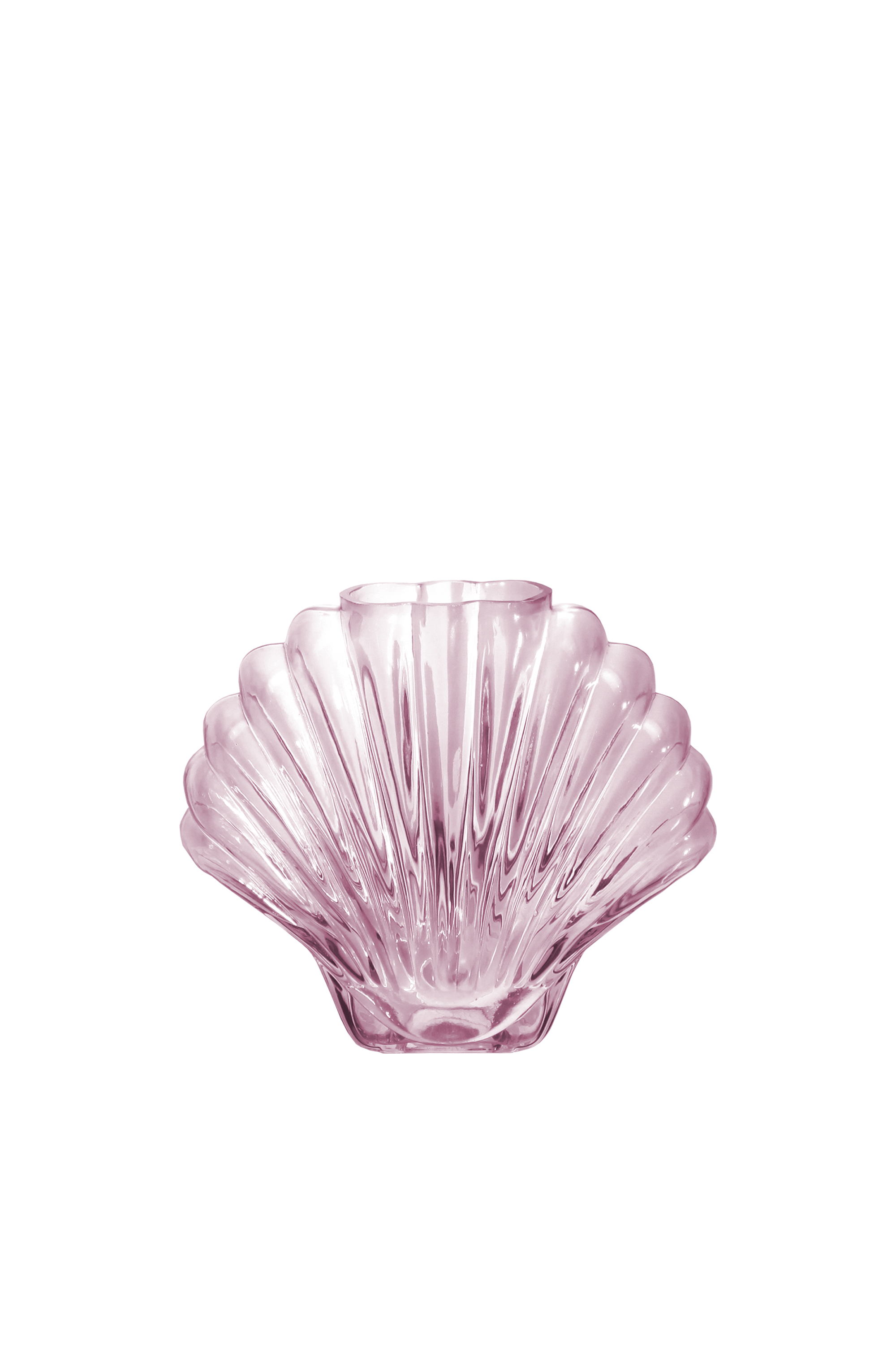 DOIY Vase Seashell Rose