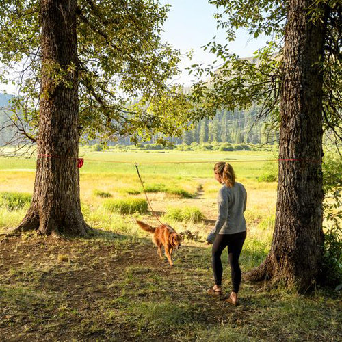 Ruffwear Knot-a-Hitch