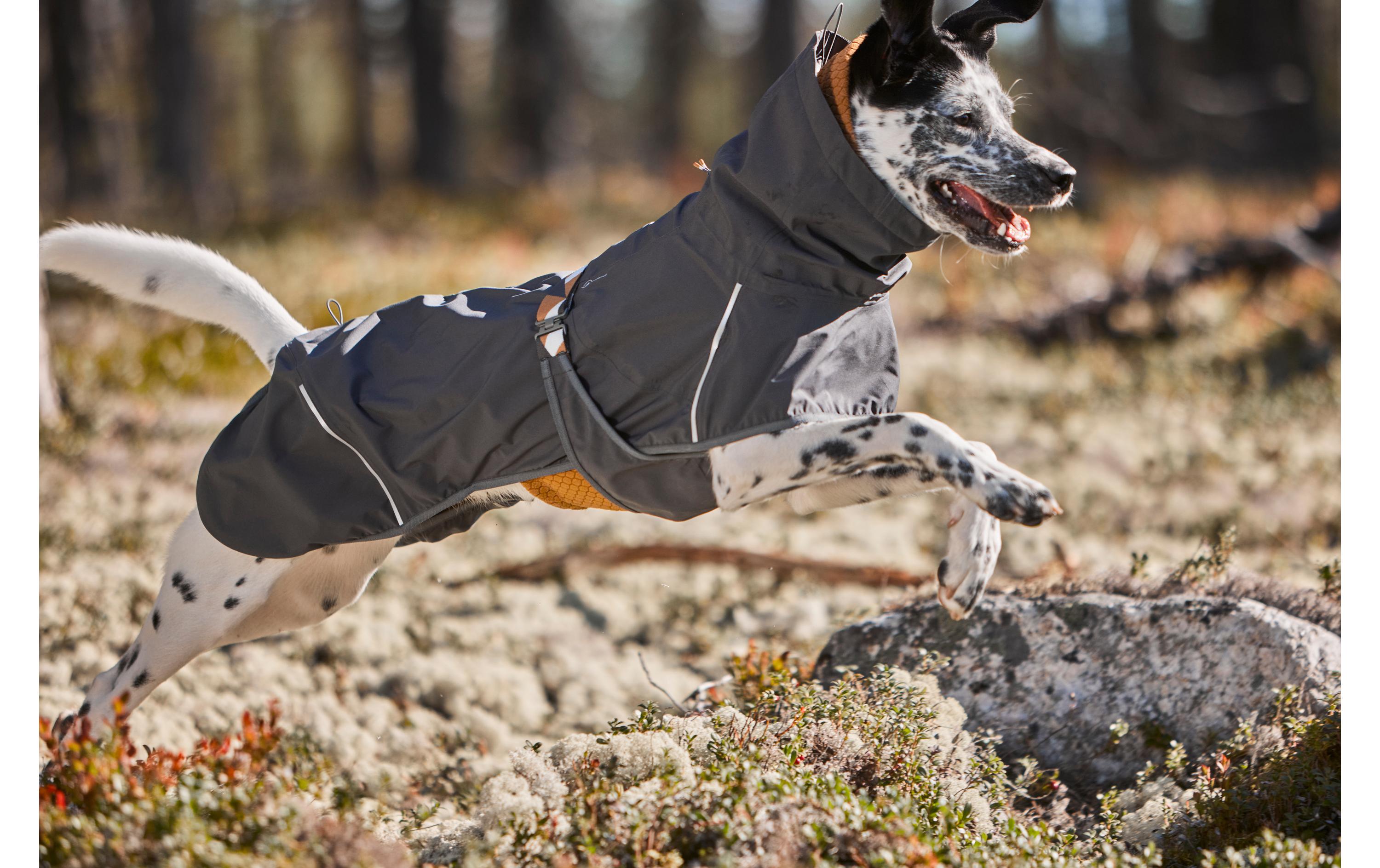 Regenmantel Mudventure Eco Dunkelgrau, 65 cmHundejacke