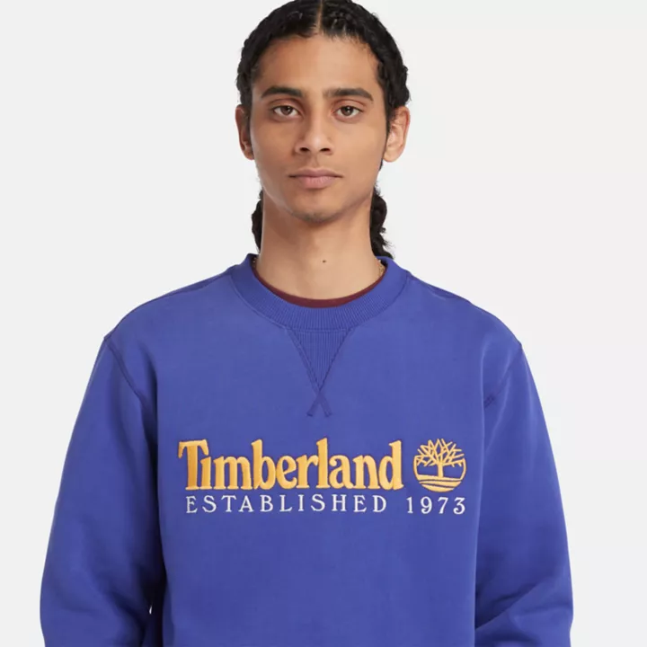 Moletom masculino azul com gola redonda e logo 