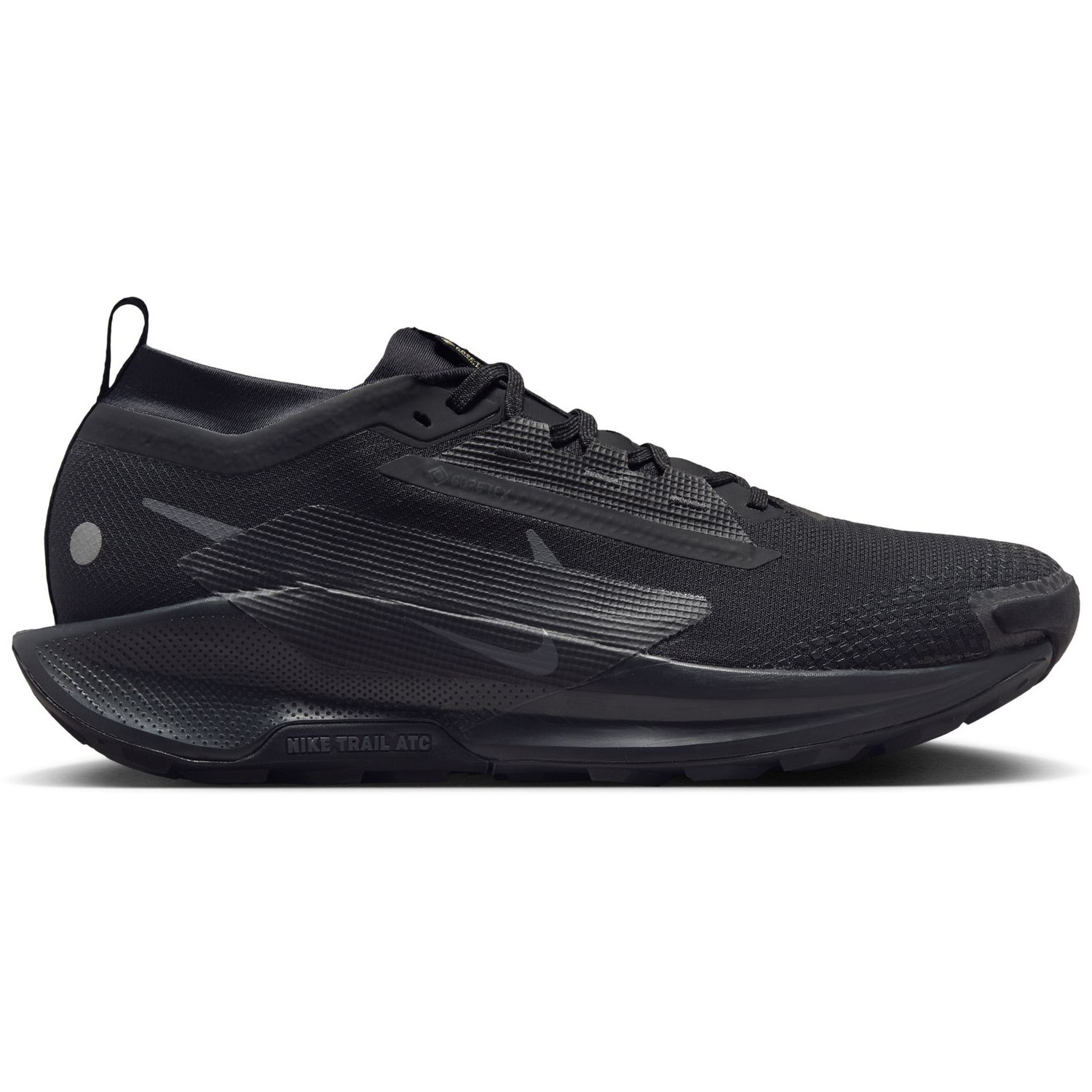 Nike Pegasus Trail 5 GTX Heren