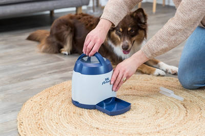 Trixie hondenspeelgoed Dog Activity Memory Trainer Strategiespel 3.0 (20X24 cm)
