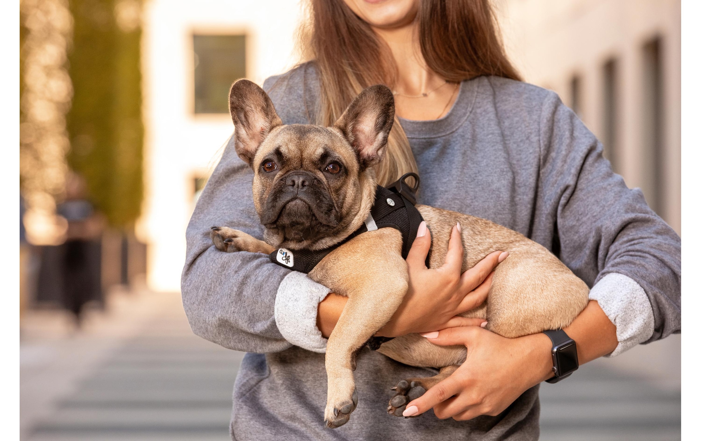 Curli Hunde-Geschirr »Vest Air-Mesh XL« Polyester