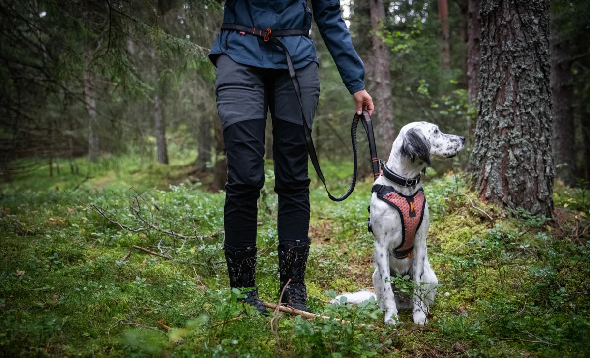 Non-stop Dogwear Touring Bungee Adjustable Gray