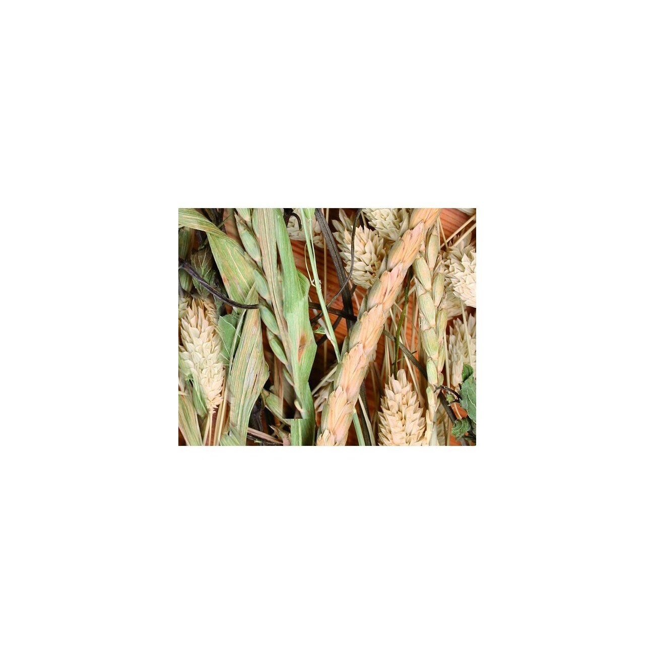 JR Farm Kräuter-Ernte 5x80g