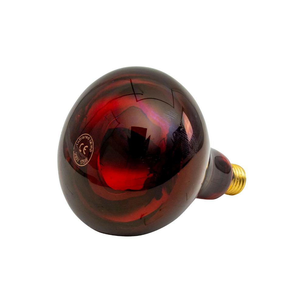 Ampoule infrarouge ir 175 w rouge