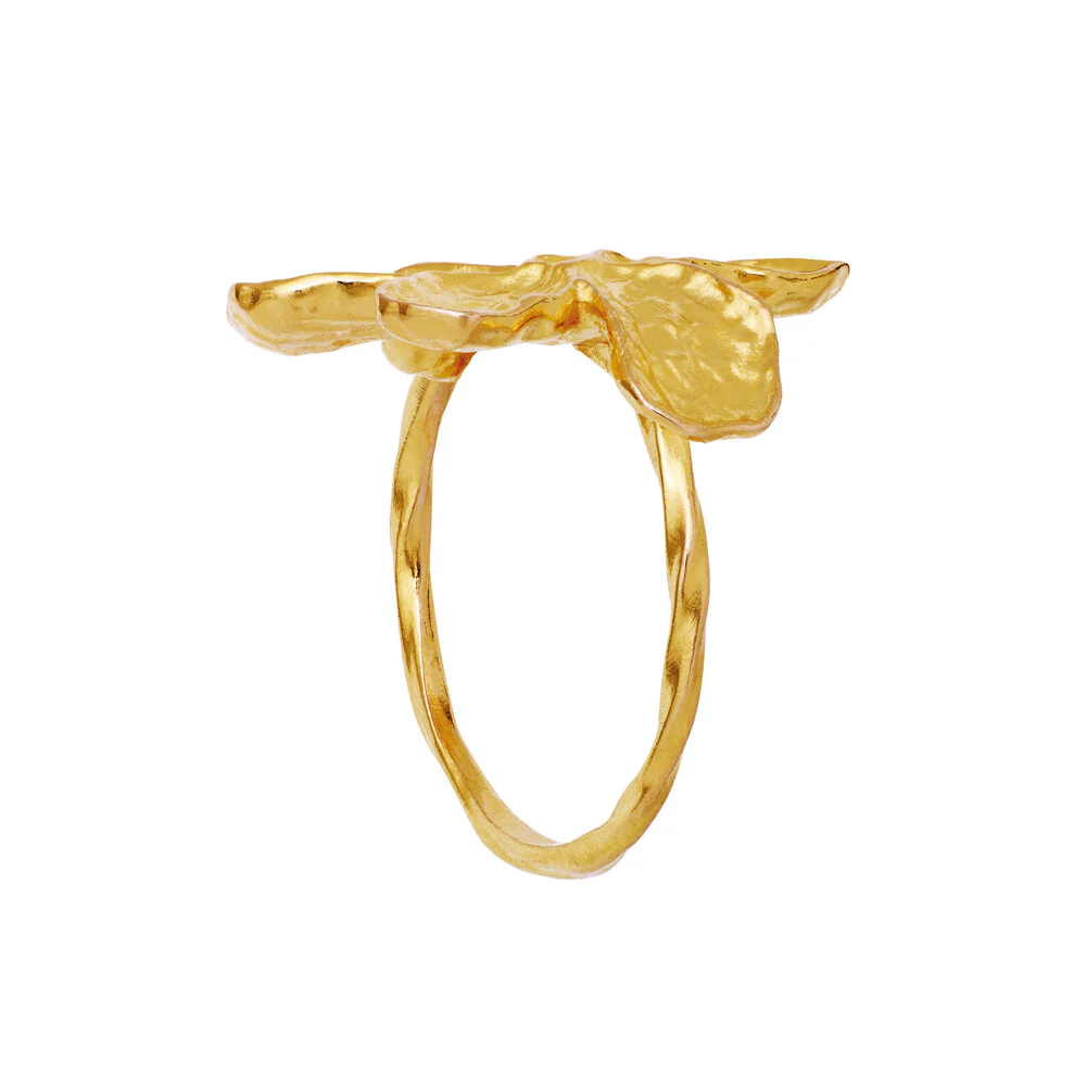 Maanesten  Fraisa ring - forgyldt