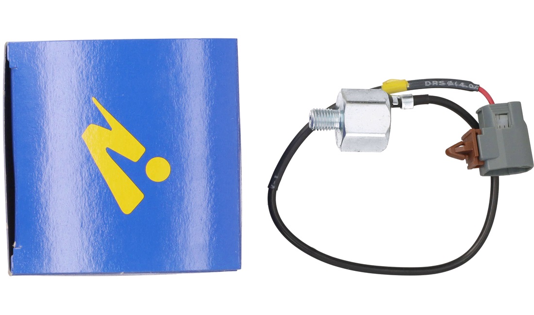 Bankesensor