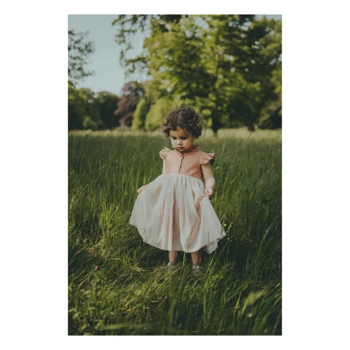 Donsje Robe en Tulle Fleurance | Vieux Rose