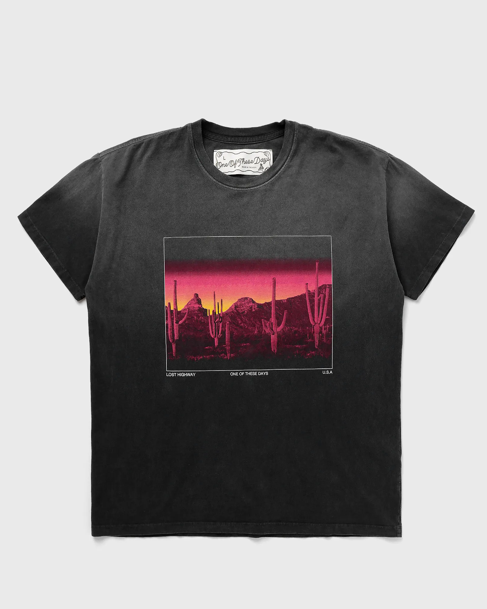 One of these Days BURNING LANDSCAPE TEE