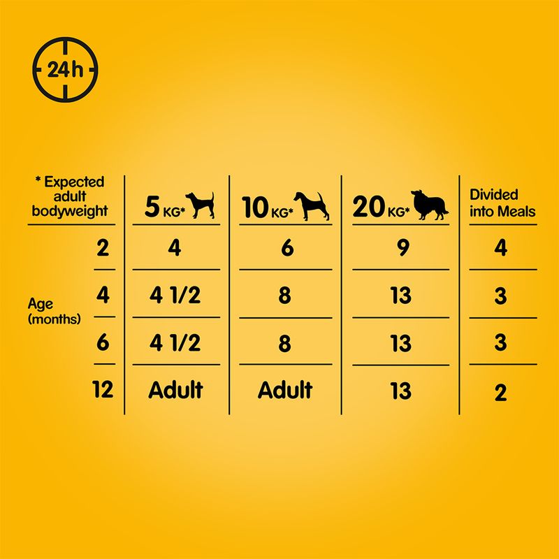 Multipack Pedigree Junior pour chiot