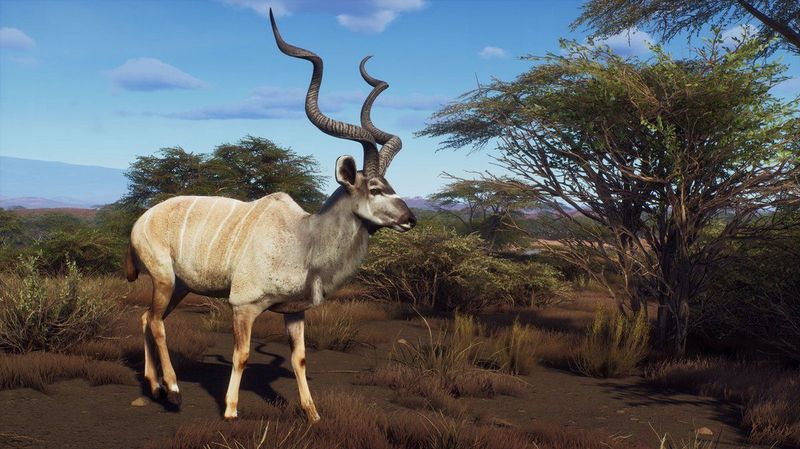 Way of the Hunter - Wild Expeditions - PC Game - Jachtsimulatie - Wereldwijde Jachtgebieden