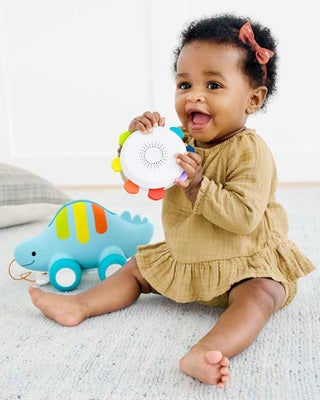 Skip Hop Explore & More Draleke Dinosaur