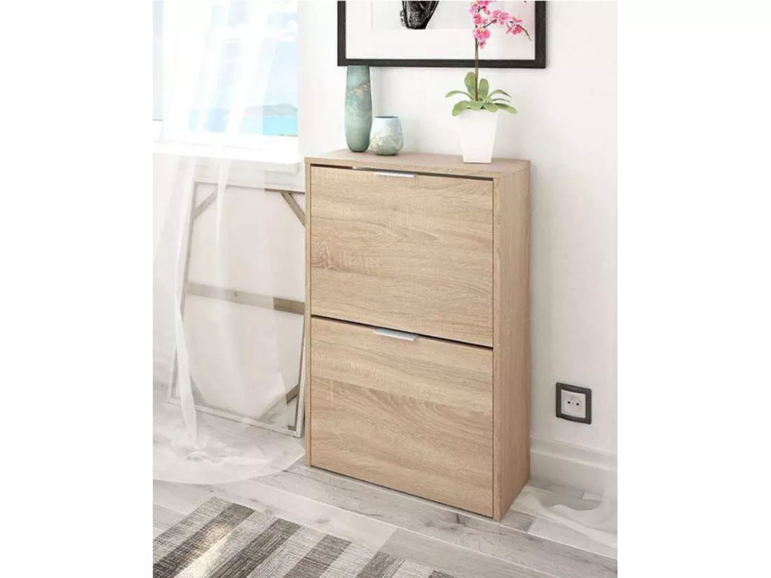 Étagère à chaussures Dmoretto, Étagère à chaussures peu encombrante avec 2 portes, Étagère à chaussures d'entrée, Armoire à chaussures, 50x22h76 cm, Chêne
