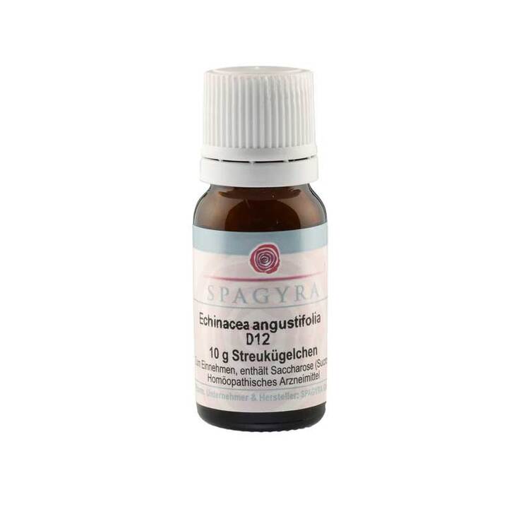 Echinacea angustifolia D 12 Globuli, 10 g
