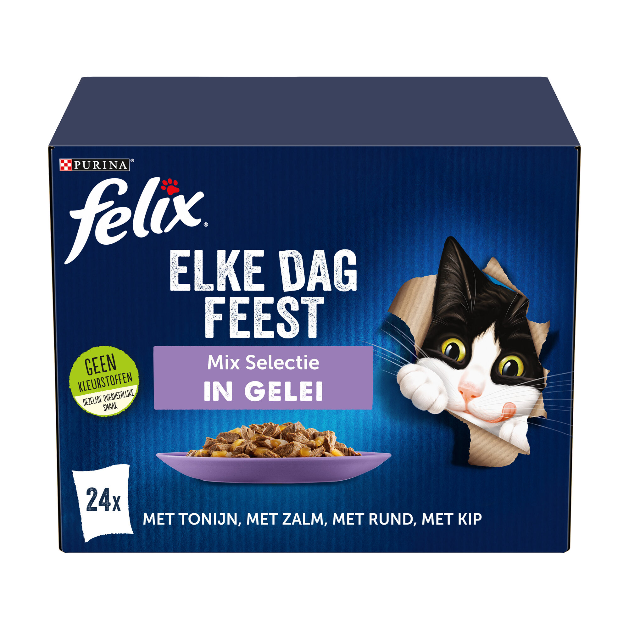 Felix Elke Dag Feest