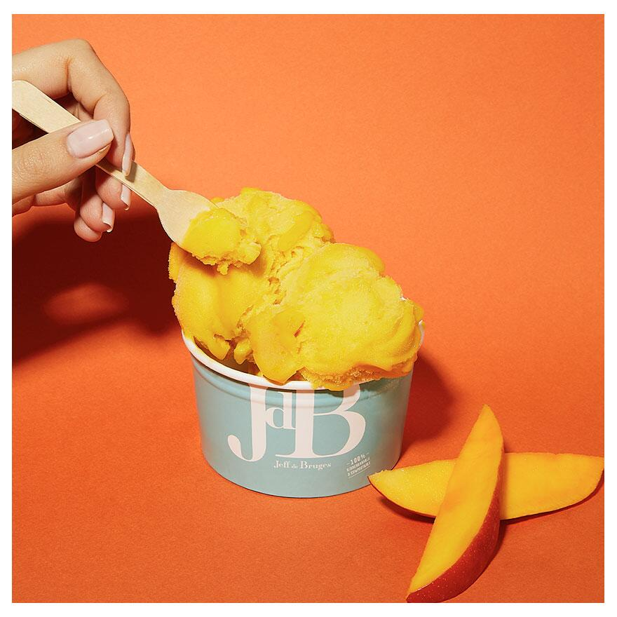 Sorbet Mangue Bio