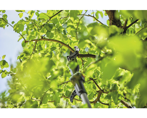 GARDENA HighCut 250/18V P4A accu-boomsnoeier (zonder accu en lader), snijhoogte tot 4 m