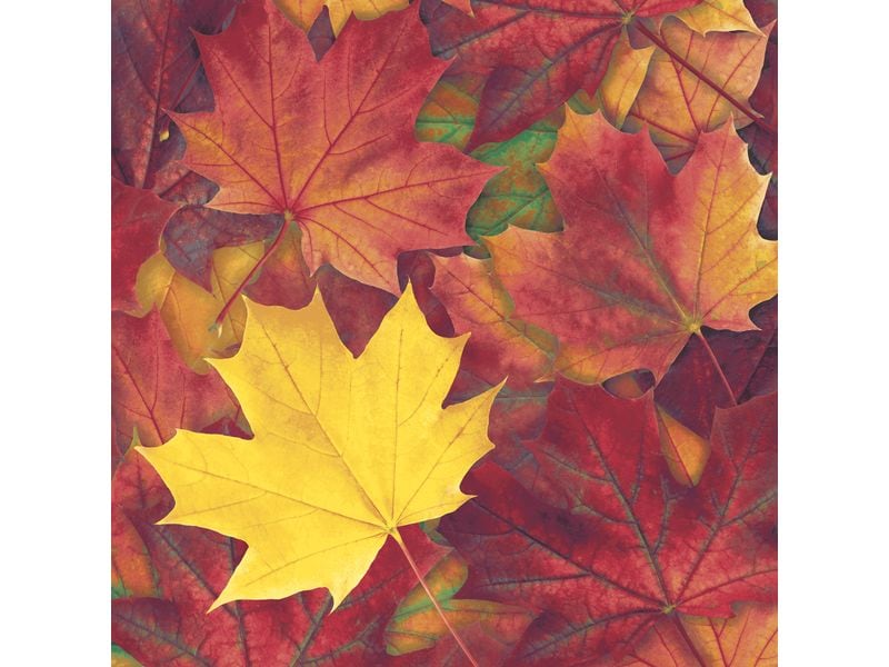 Paper   Design Servietten Herbstblätter 33 cm x 33 cm, 20 S Papierservietten