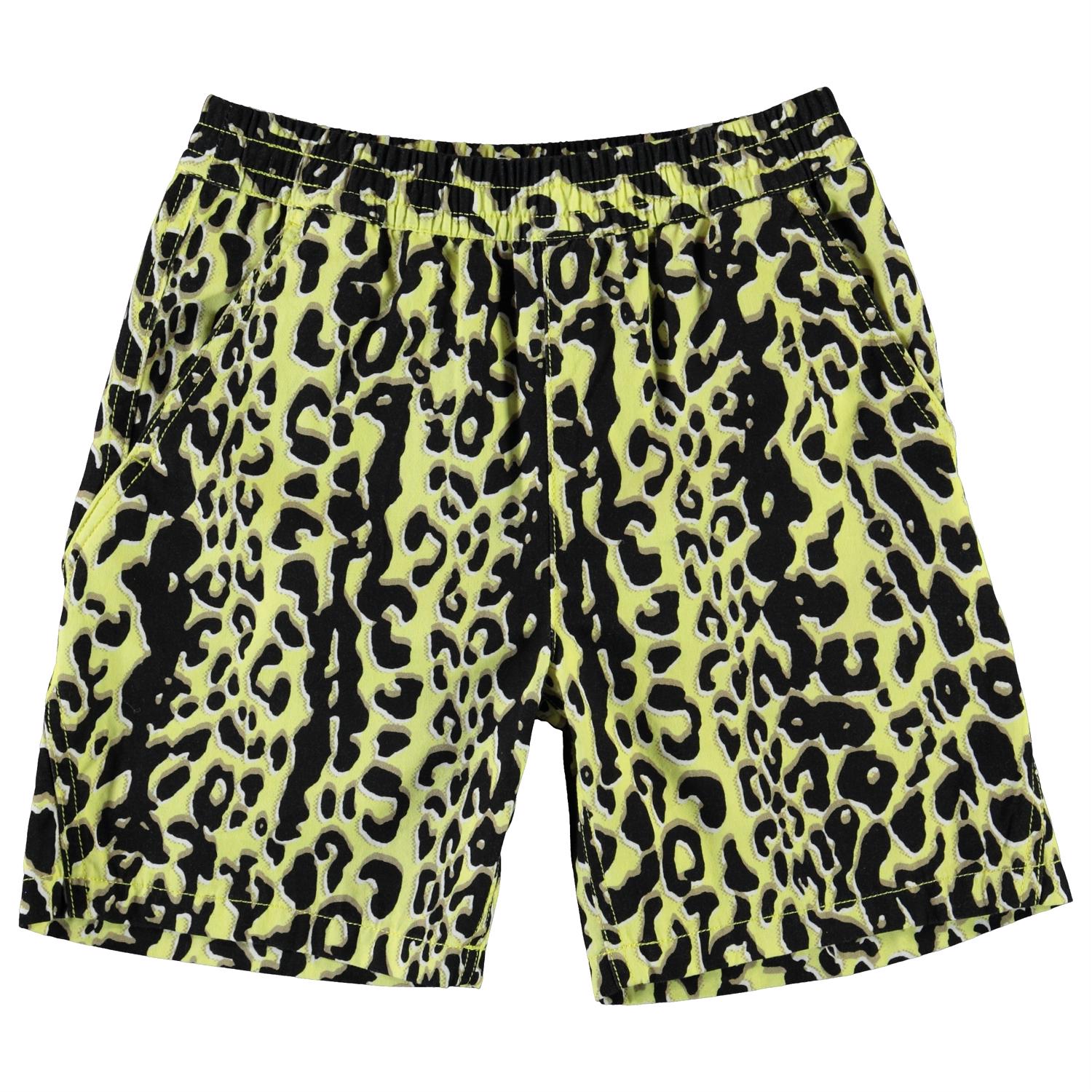 Acton - Shadow Leopard