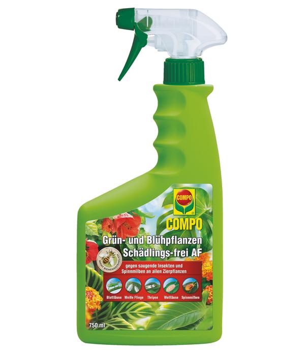 COMPO Grün- und Blühpflanzen