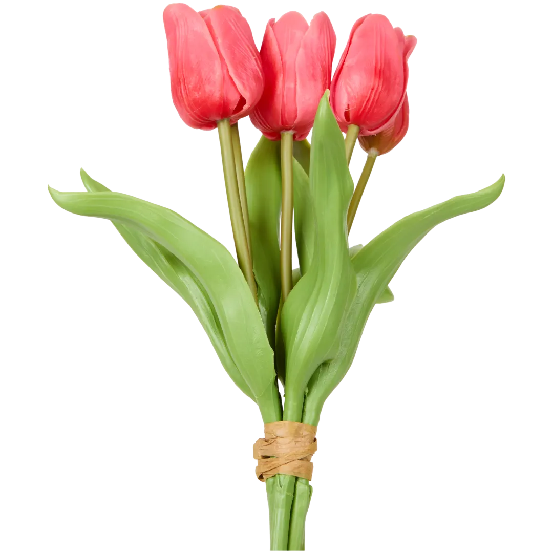 Kunsttulpen Diverse varianten