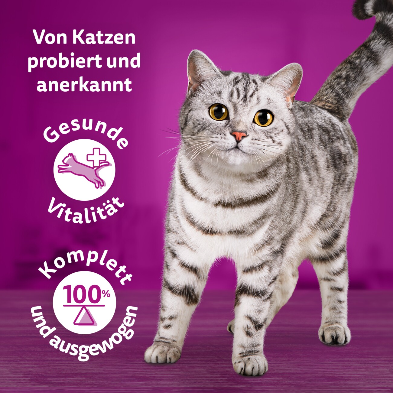 Whiskas Tasty Mix Mega Pack Chef's Choice in Sauce 40 x 85g