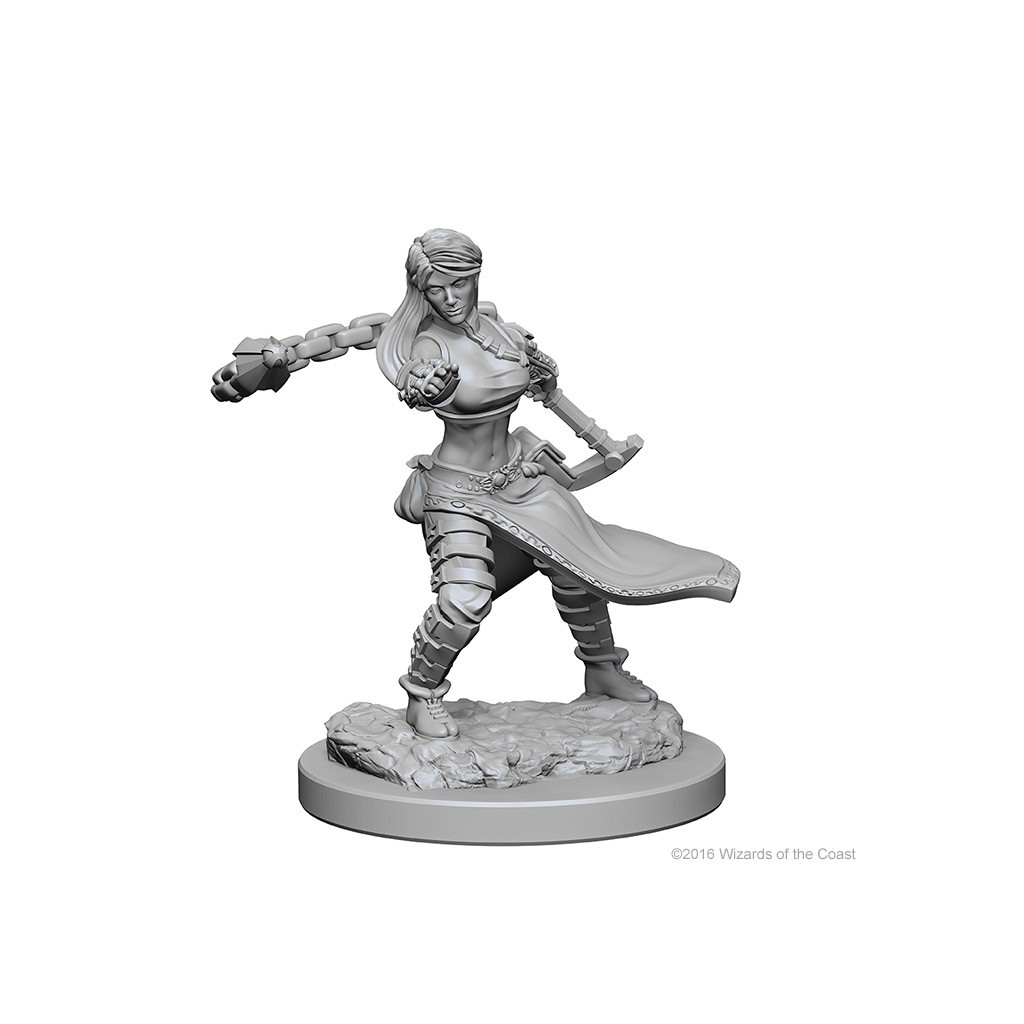 D&D Nolzur's Marvelous Unpainted Miniatures: Human Female Monk