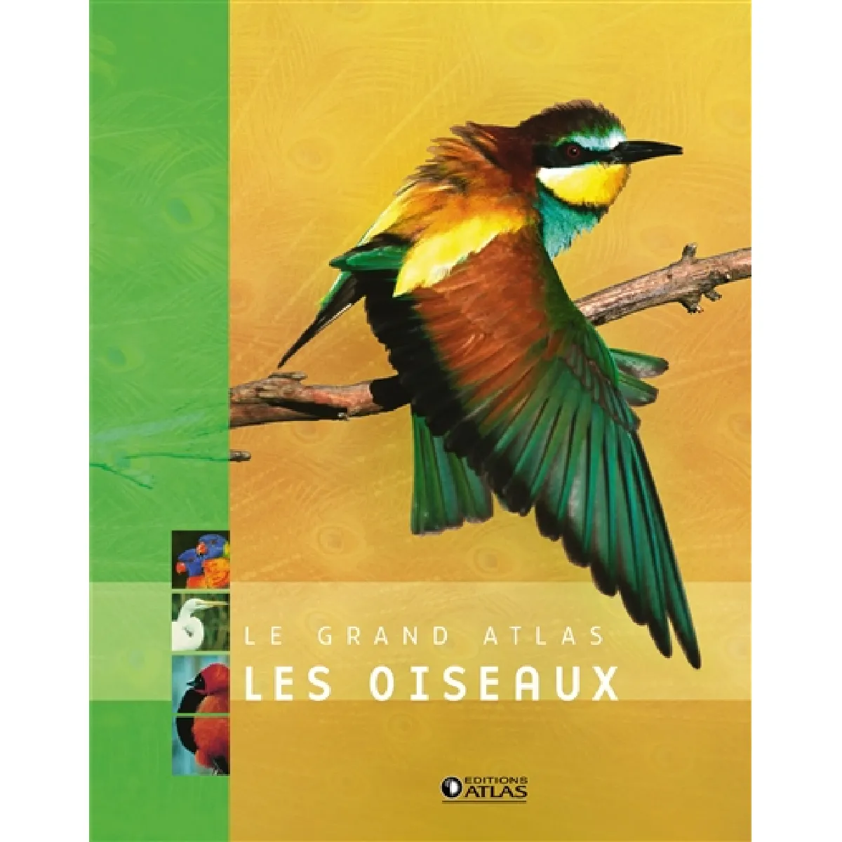 Le grand atlas des oiseaux · Occasion