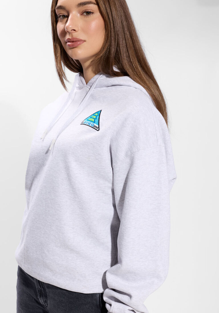 lichtgrijze stieglitz trui cisco hoodie