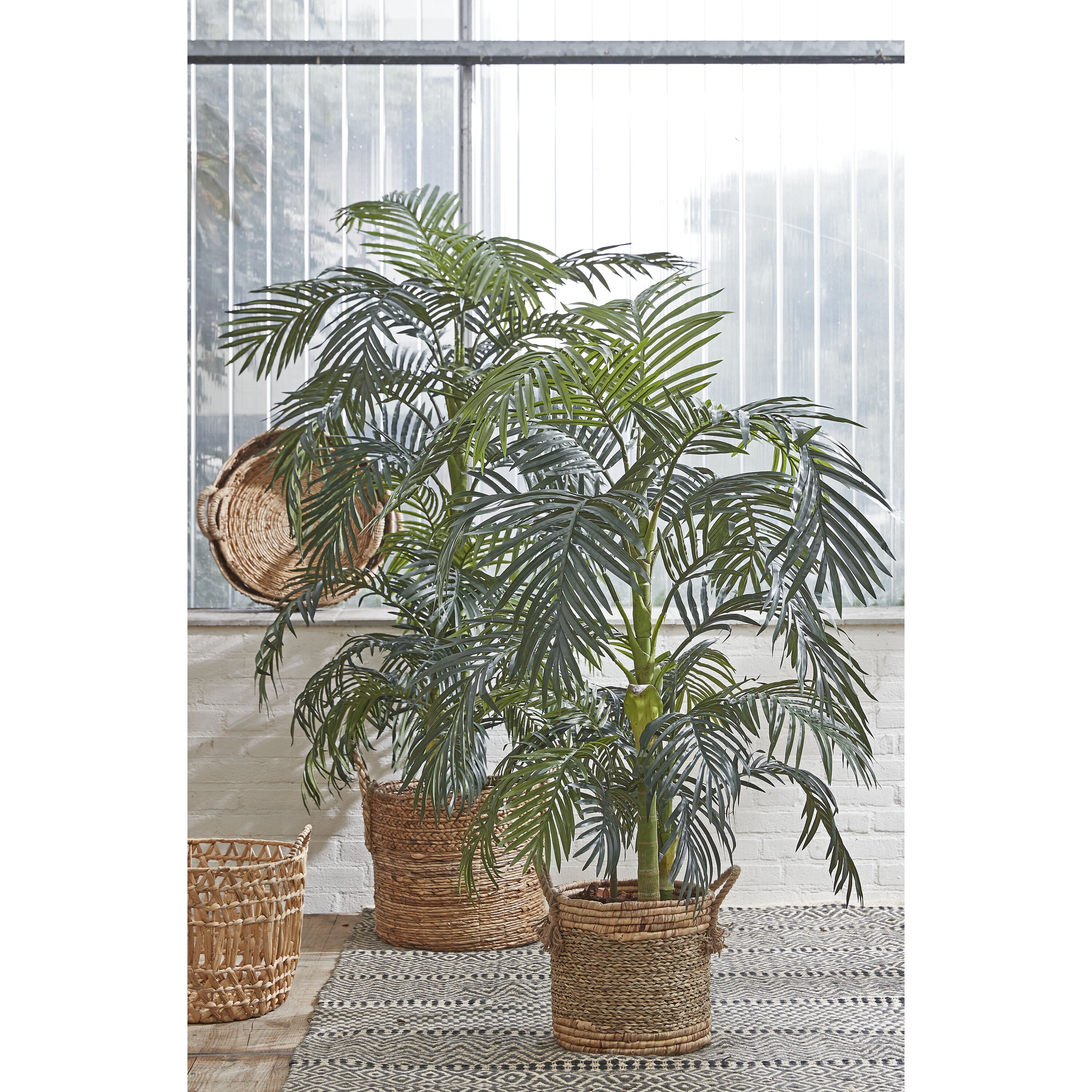 Mica Decorations Areca palm groen in plastic pot - h150xd100cm