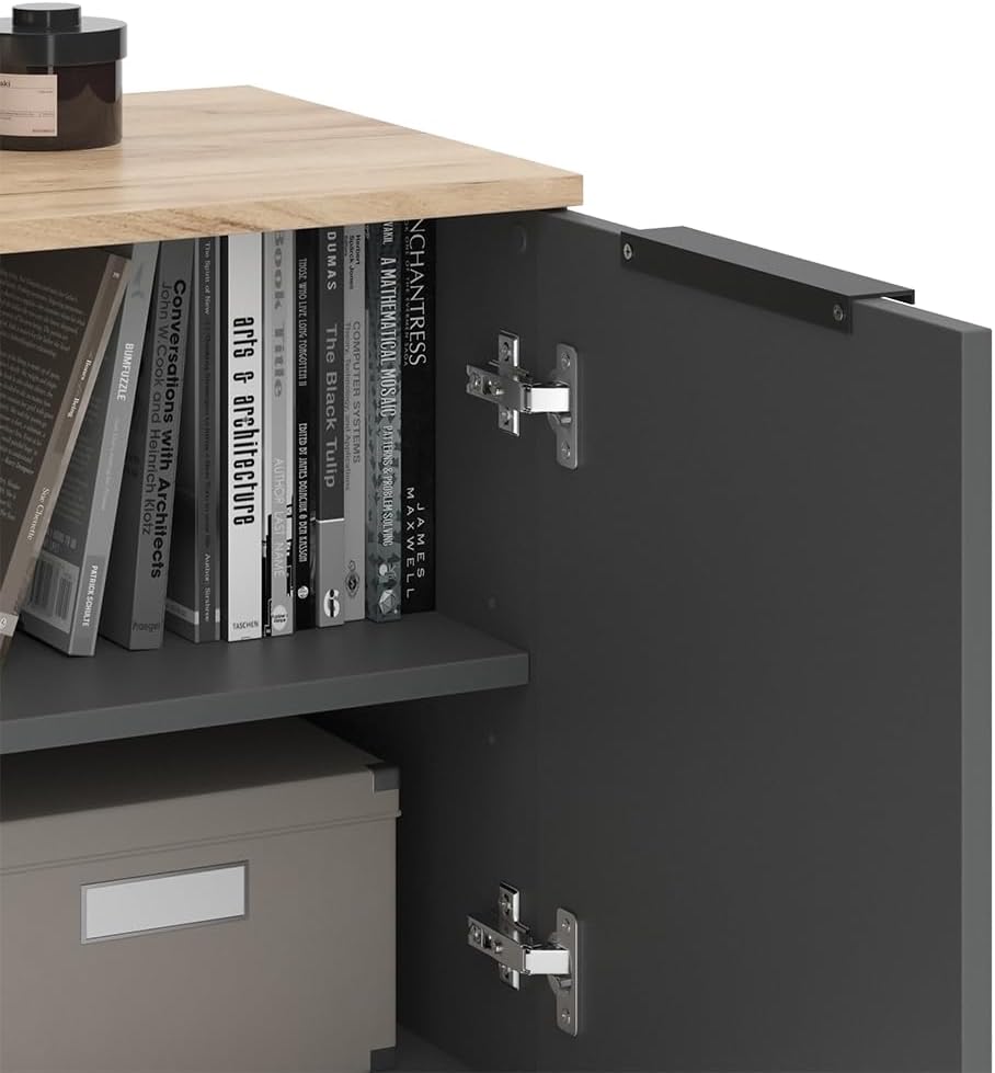 Vicco Wohnwand Wido, TV-Wand, Anthrazit/Sonoma, 2 Teile
