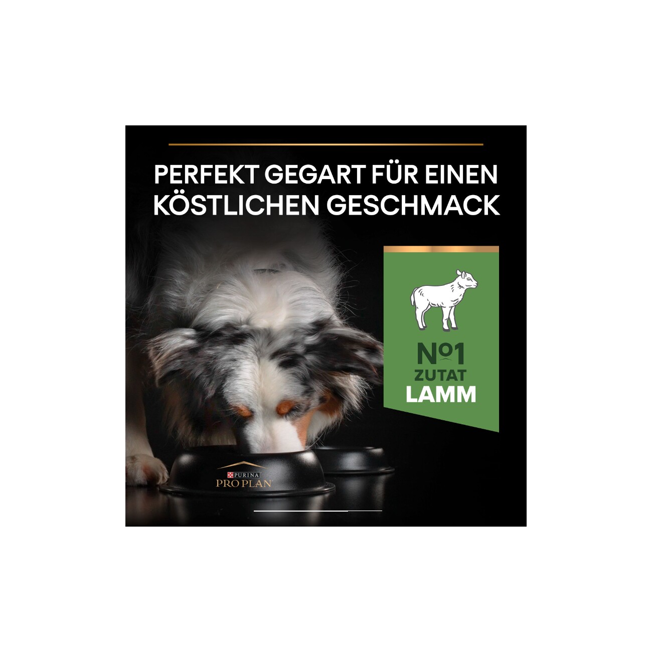 PRO PLAN Adult Medium Sensitive Digestion Lamm 14 kg