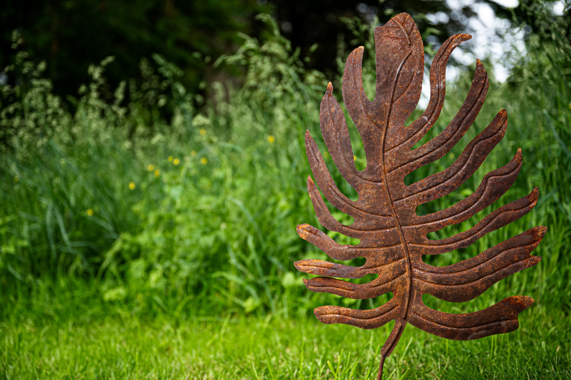 Gartenstecker 'Monstera', B 41 cm, H 77,5 cm, T 2 cm günstig bestellen