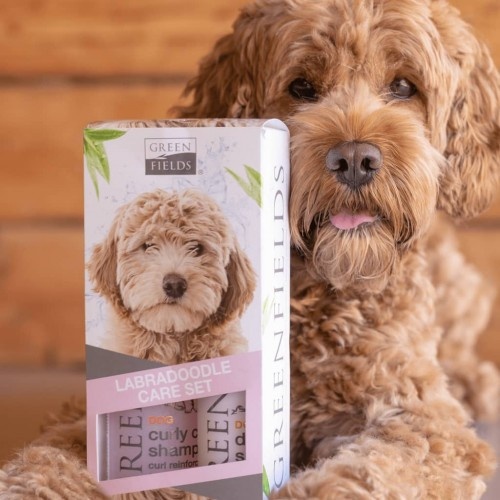 Conjunto de shampoo e spray desembaraçante Greenfields para Labradoodles