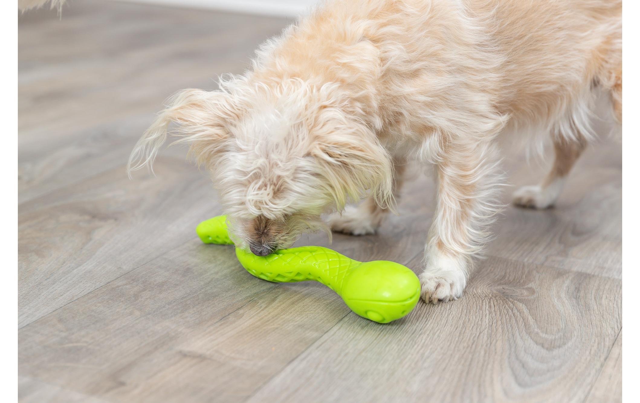 Hunde-Spielzeug Snack-Snake, 27 cm, GrünSnack-Spielzeug
