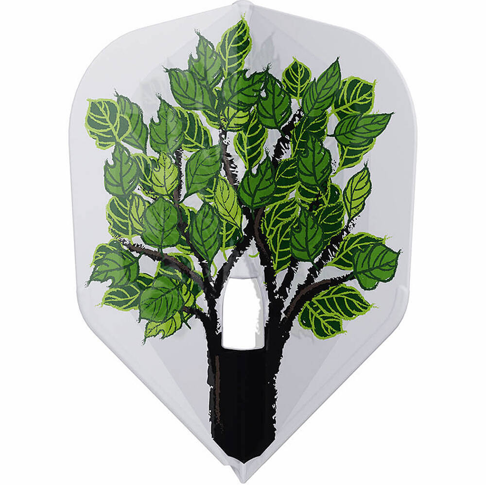 L-Style - Champagne Flight Pro - Di Zhuang - Shape