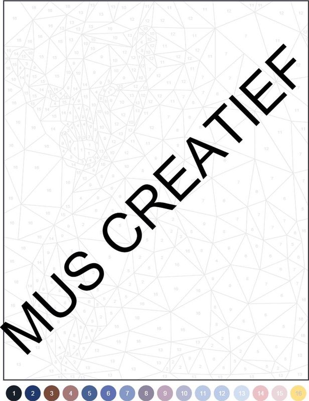 Kleuren-Op-Nummer - 21 Puzzels - Creatief - Kleurcodes