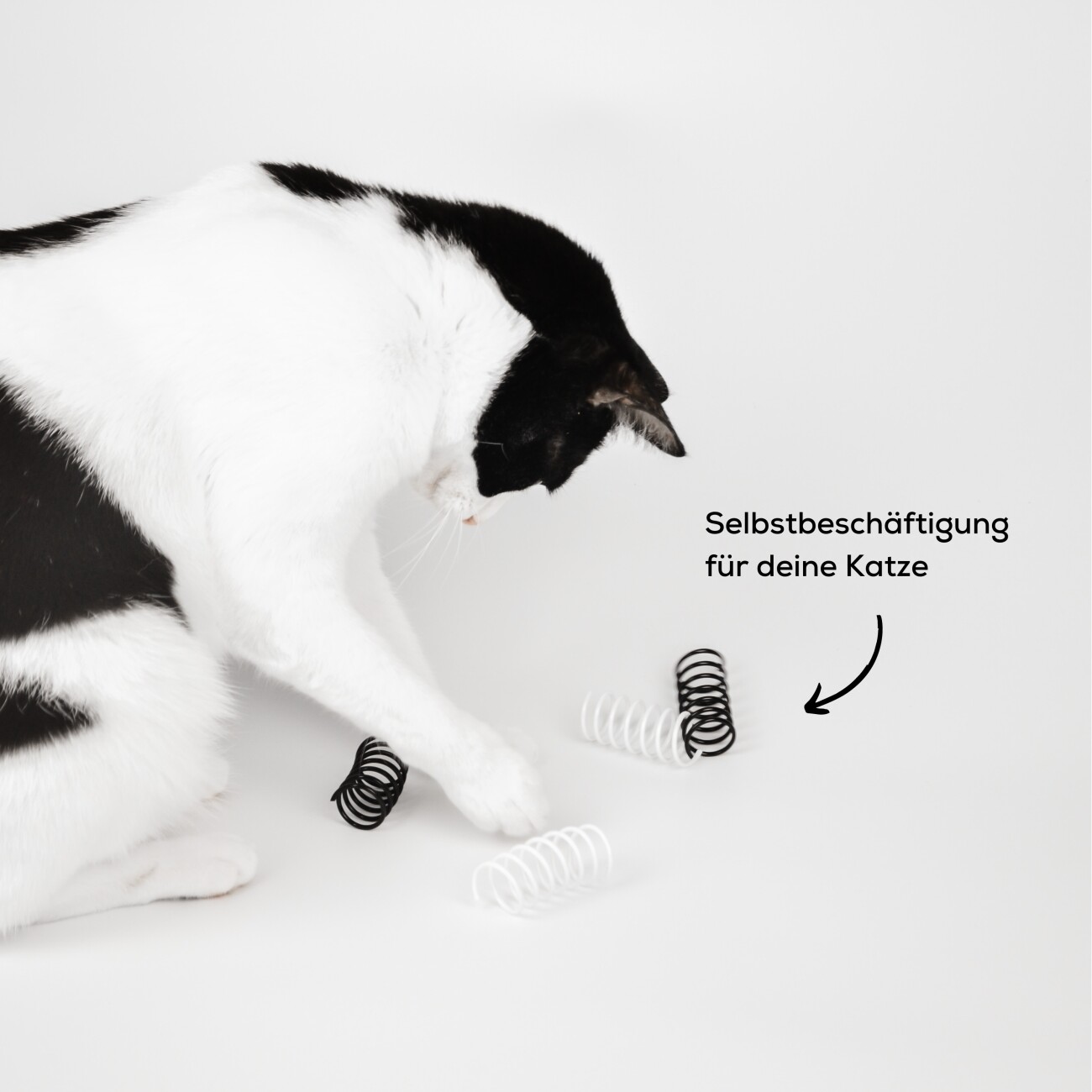 Minty&Marla Katzenspielzeug Spiralen 4er Pack