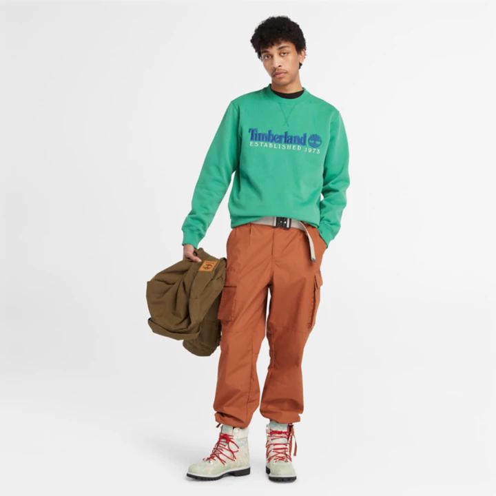 Moletom masculino verde com gola redonda e logo 