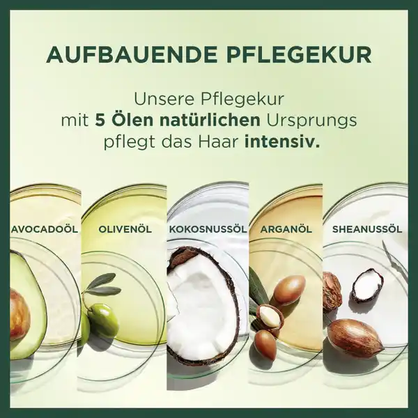 Ultra Crème Dauerhafte Pflege-Haarfarbe 6.3 Dunkles Goldblond