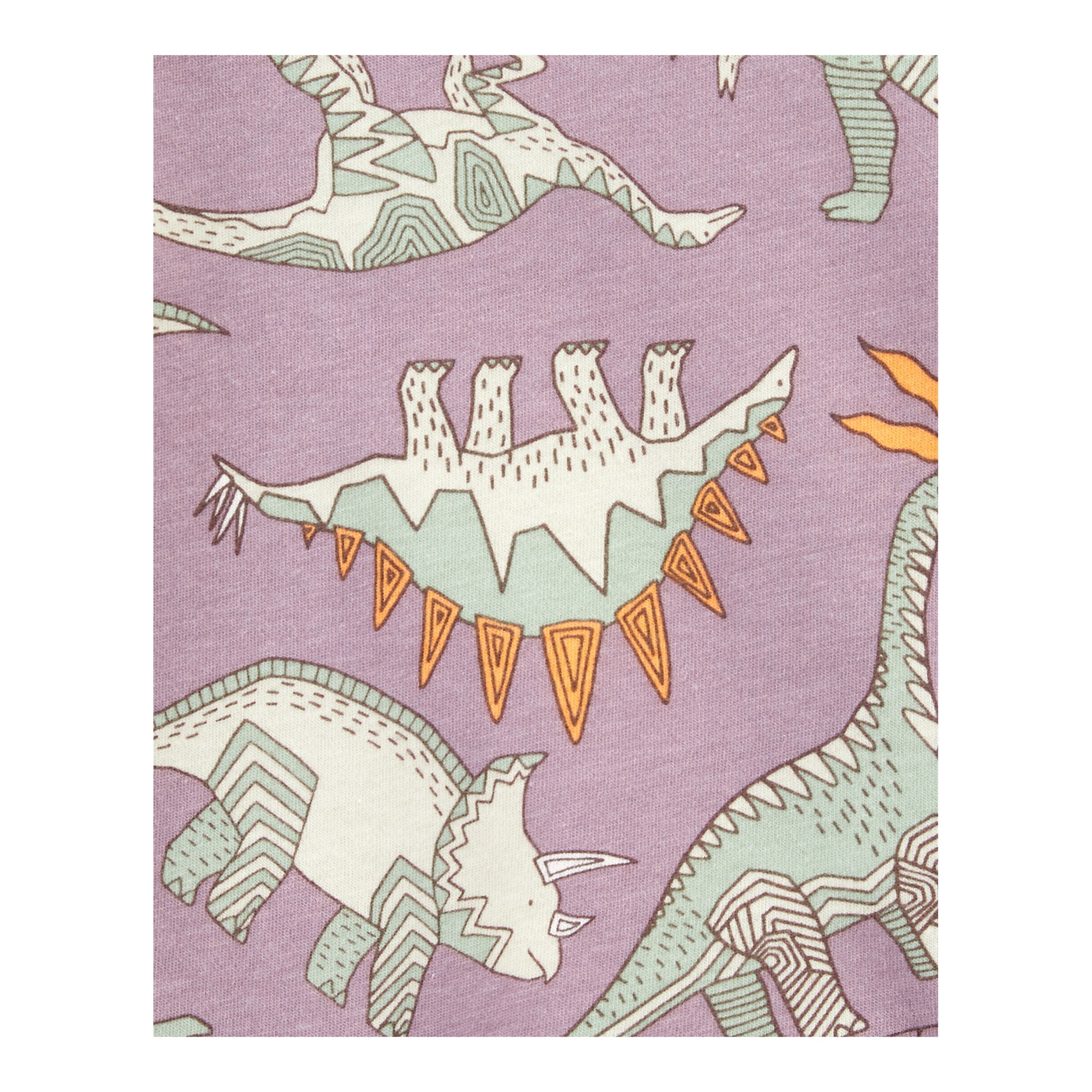 Carter's 2-tlg. Set T-Shirt und Latzhose kurz Dinos