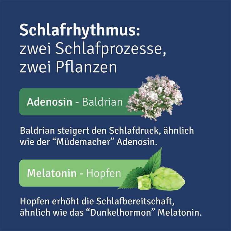 ALLUNA Schlaf Filmtabletten, 60 St