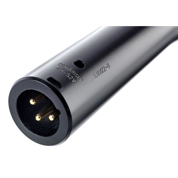 Audix VX-10