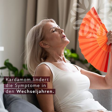 Multipack Fembien Wechseljahre