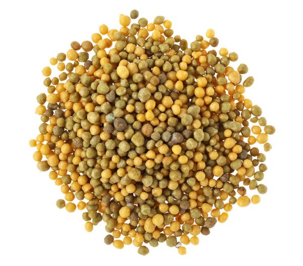 Substral® Langzeit Depotdünger Balkonblumen