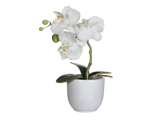 Kunstorchidee, 26 cm hoog, wit